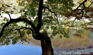 Feuillage d'automne au lac de Biograd