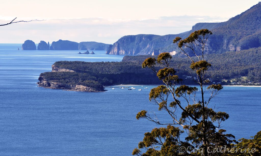 panorama sur la Cote de Tasmanie avant Port Arthur