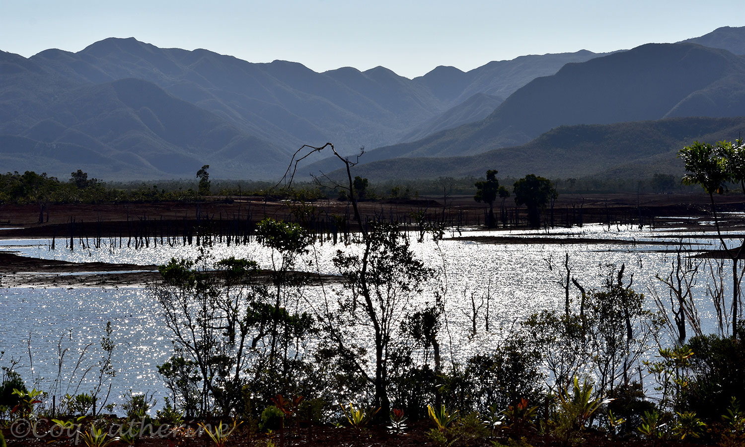 NOUVELLE CALÉDONIE Parc de la rivière Bleue Les Voyages de Kat