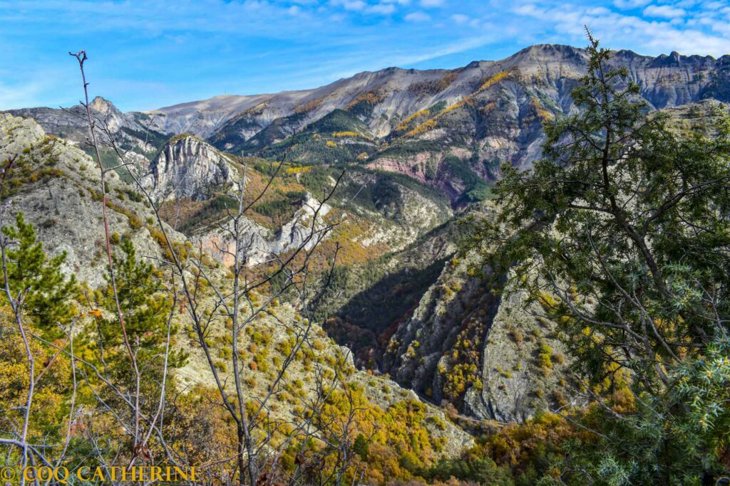 Panorama sur la vallée du Bès et le sommet du Blayeul