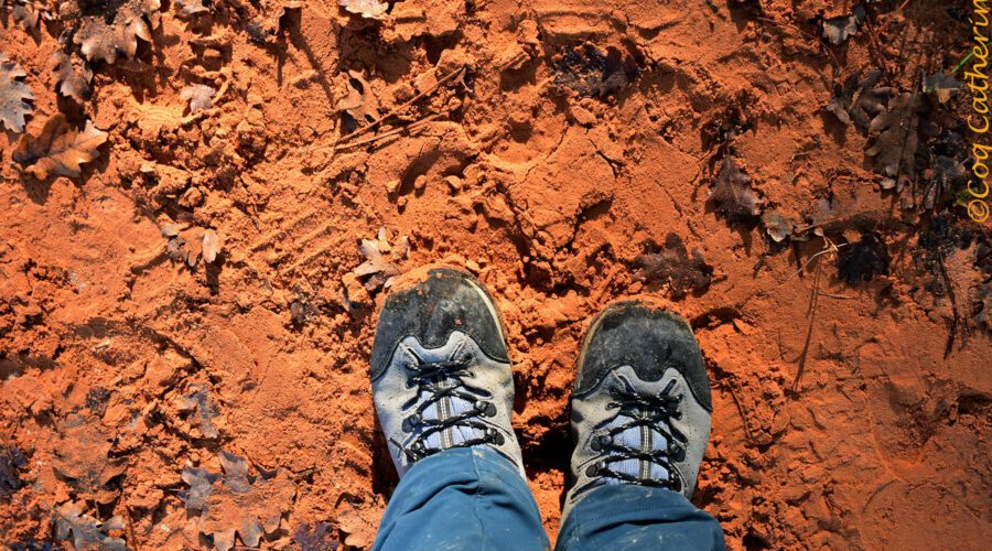 vue de mes chaussures sur un sol coloré par les ocres