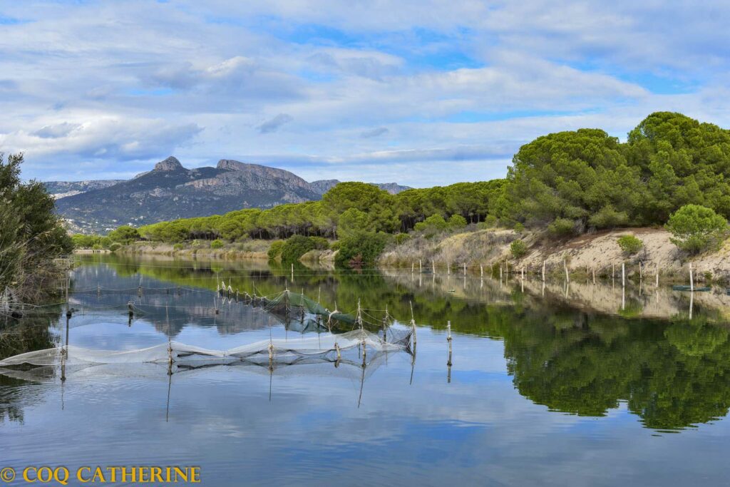 l’étangs de Tortoli à Arbatax en Sardaigne