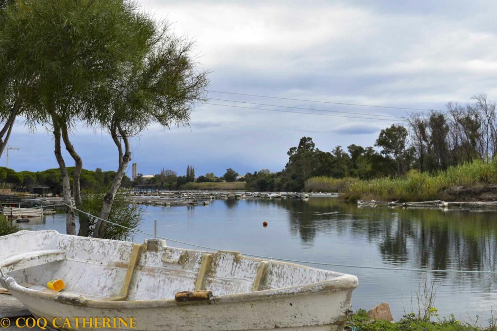 Une barque sur le site de la coopérative de pêche d’ Arbatax en Sardaigne