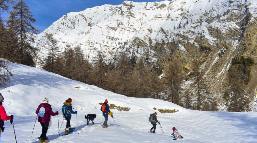 un groupe de personne en raquette à neige avec un chien dans la vallée de l’Ubaye