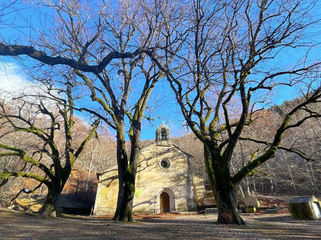 l’Abbaye de Lure avec les troncs de tilleul
