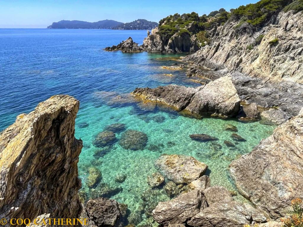 La côte rocheuse de la presqu’ile de Giens avec des arbres, des falaises et l'ile de Porquerolles