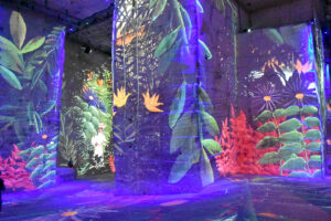 Image de l’Exposition eu Dounier Rousseau aux Carrières de Lumières