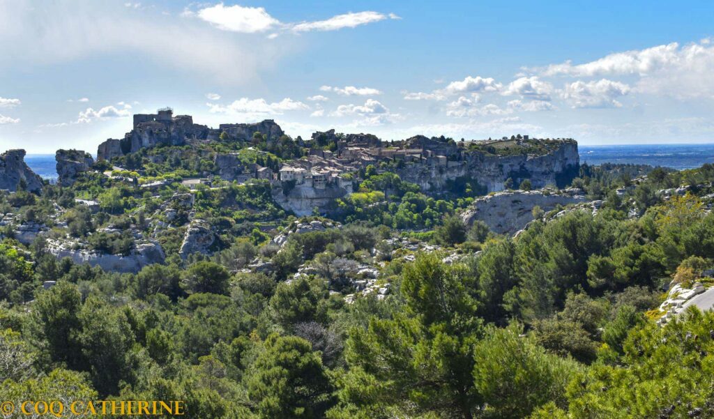 Vue sur le château avec le village des Baux de Provence, les falaises et les arbres