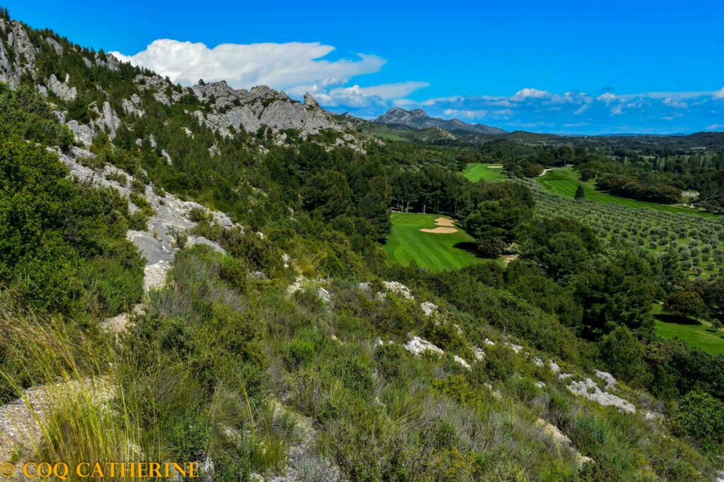 Un chemin à flanc de colline avec la plaine de la Crau, le golf de Servanne et les oliviers