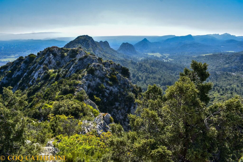 Panorama sur la crête des Alpilles