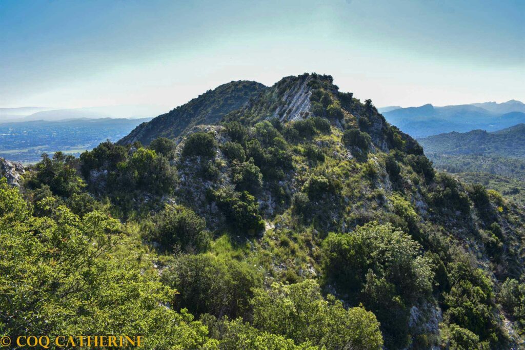 Panorama sur la crête des Alpilles avec des falaises