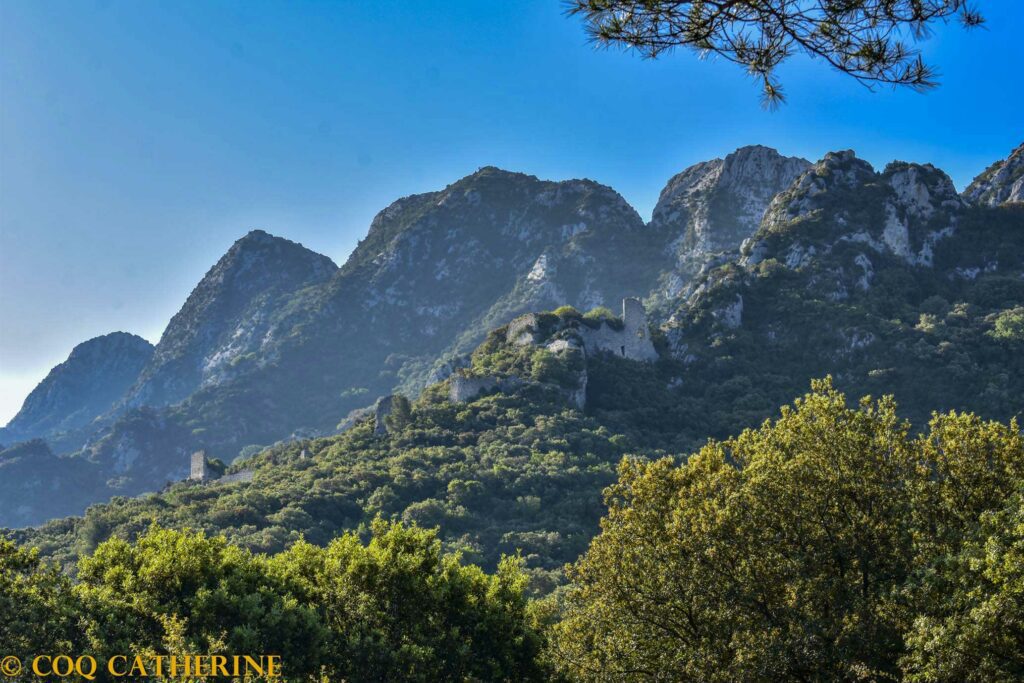 Les murs de l’ancien château de Romanin dans les Alpilles