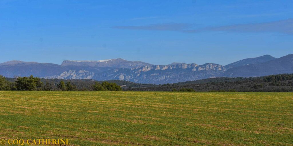 Panorama sur les champs et les falaises des gorges du Verdon