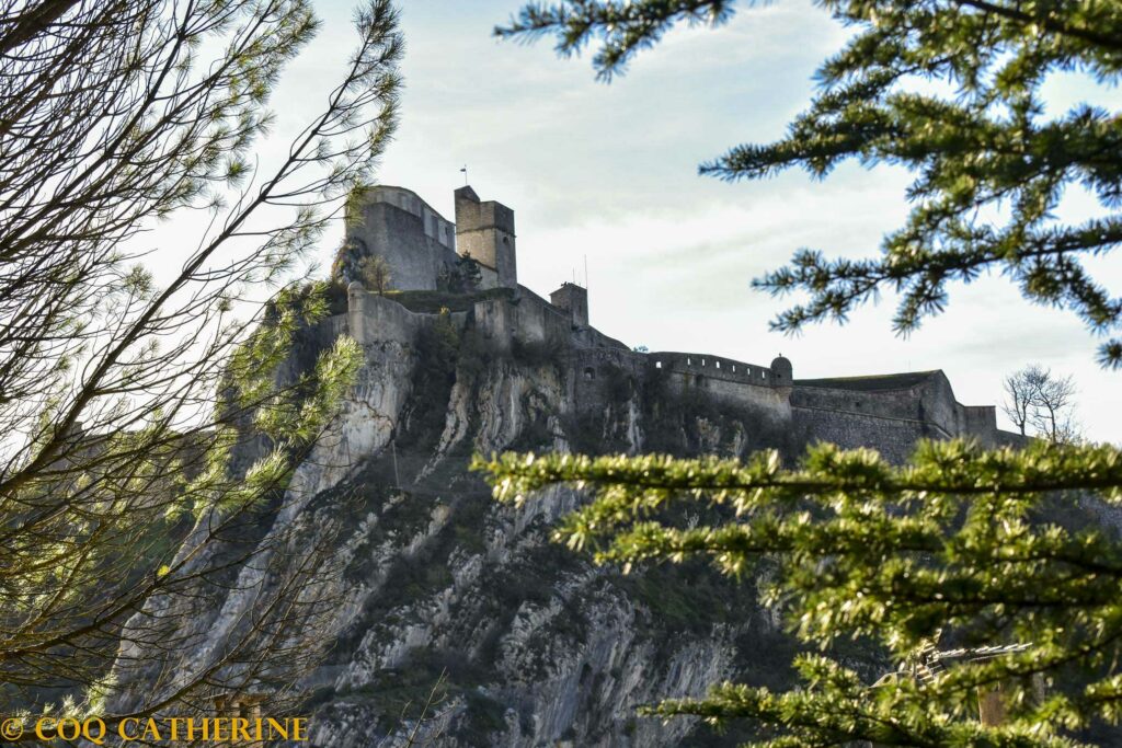 la citadelle de Sisteron entre les arbres