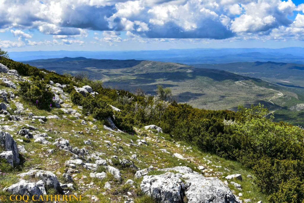 depuis le sommet du grand Marges, le panorama sur le plan de Canjuers