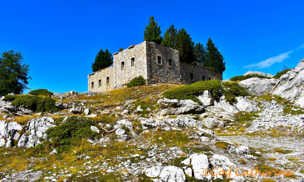 en rando pour le fort du blockhaus de la Lausette avec des arbres sur les hauteurs de Briançon