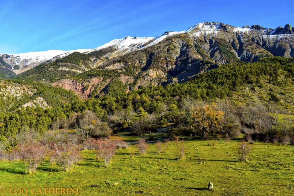 Les champs du Viel Esclangon sous la montagne du Blayeul