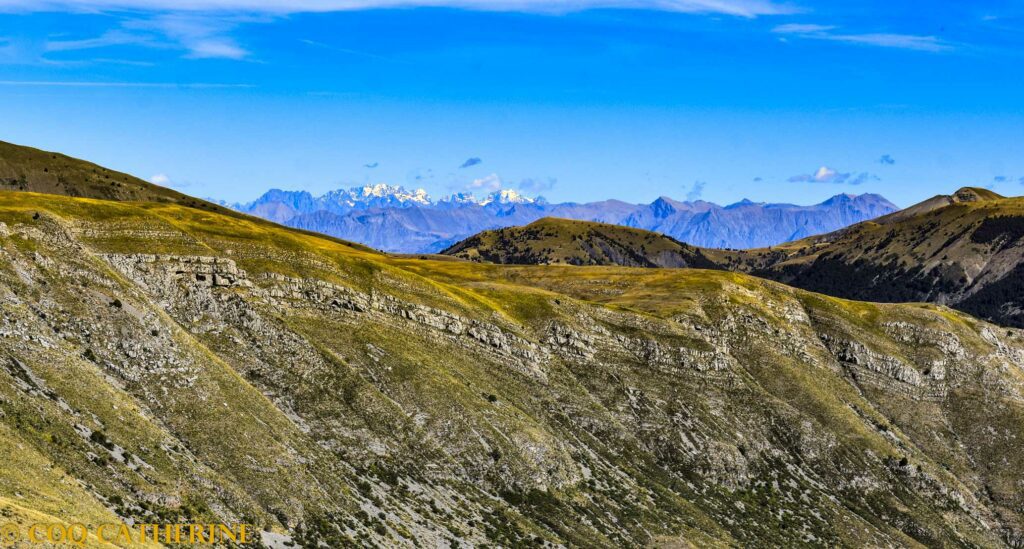 Depuis les Cloches de Barles, panorama sur les glaciers du massif des Ecrins en arrière-plan