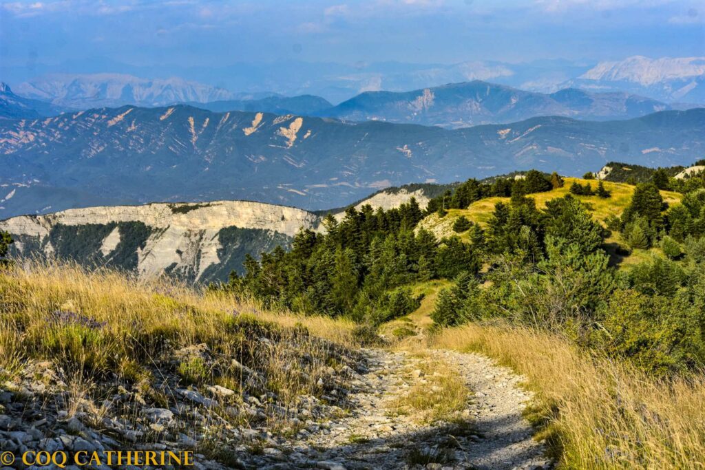 Panorama sur les Préalpes de Digne depuis le chemin de la montagne de Lure