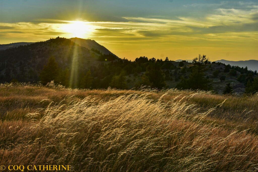 Coucher de soleil sur le sommet de Lure avec les herbes hautes