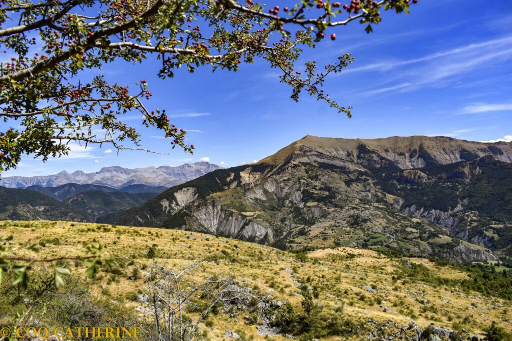 panorama sur l'Estrop et le Blayeul avec un branche