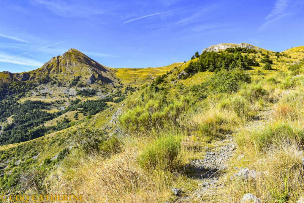 En rando sur le chemin dans les alpages des Cloches de Barles pour le sommet de la Grande Cloche