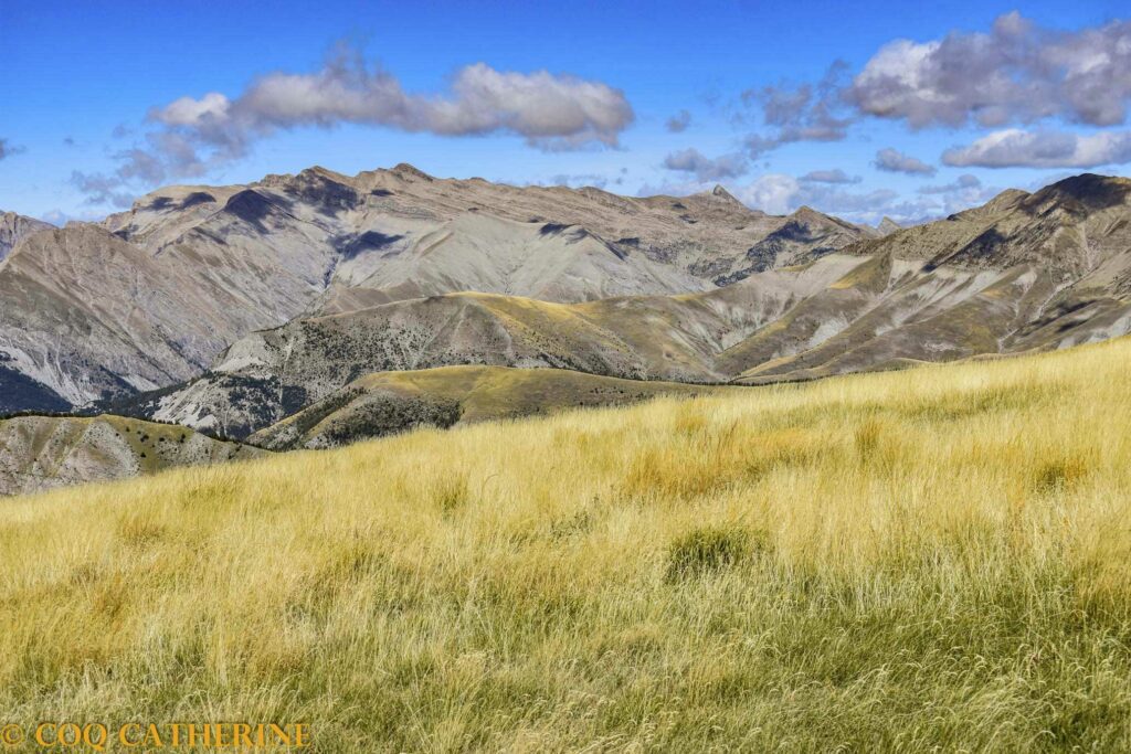 panorama sur le massif de l’Estrop depuis le sommet de la Montagne de Boules