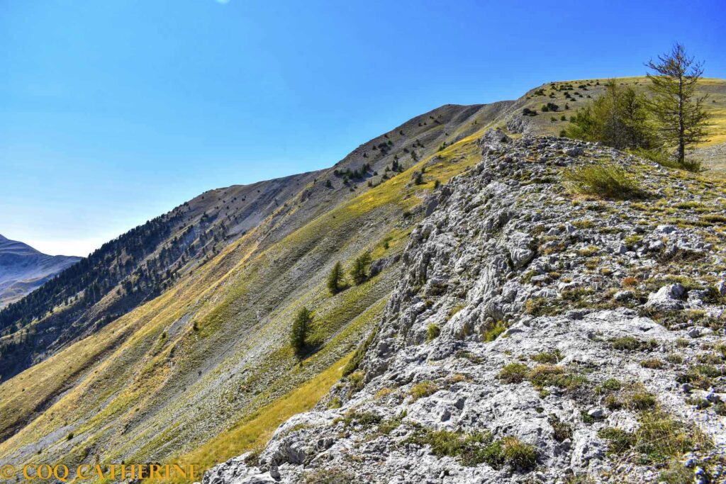 Sur la falaise de la Barre de Boules et la Montagne de Boules