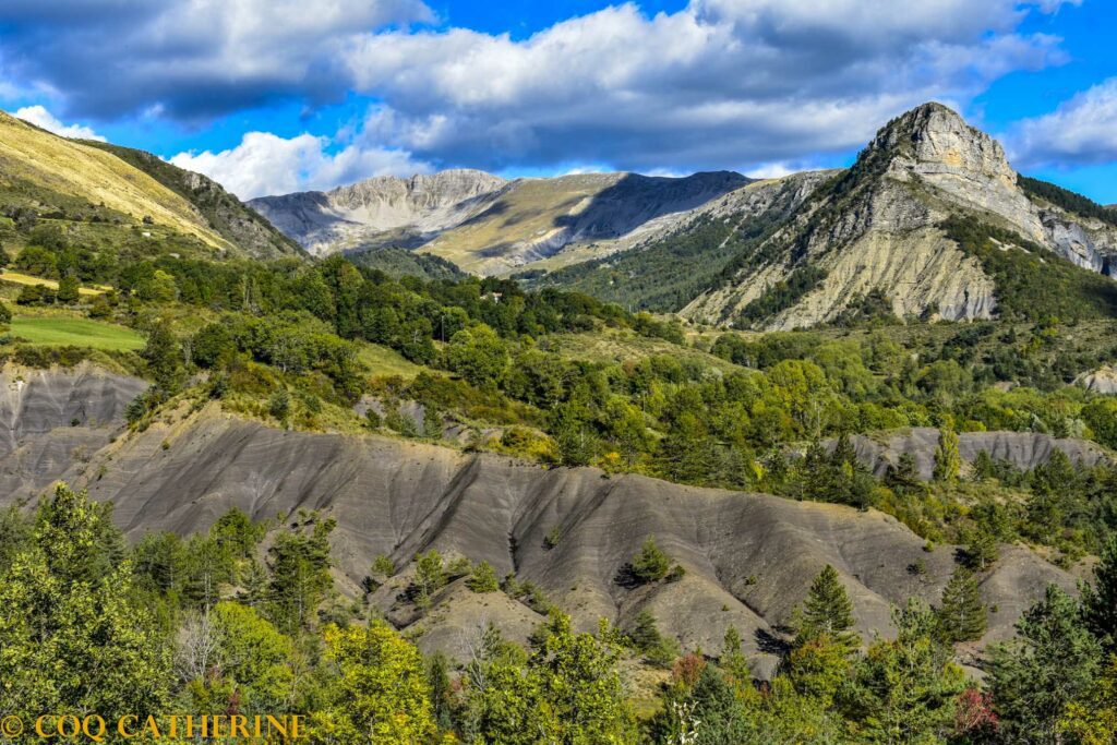 Panorama sur le massif des Monges avec les robines noires et la forêt