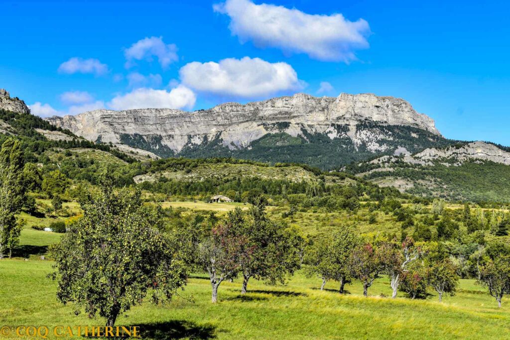 Panorama sur les falaises de la Crête de Géruen avec les champs et les poiriers