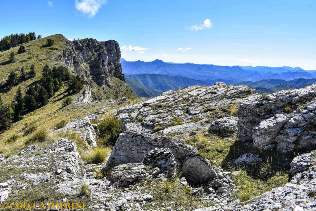 Le sentier sur l’Ubac de la Crête de Géruen avec des blocs calcaires et des arbres