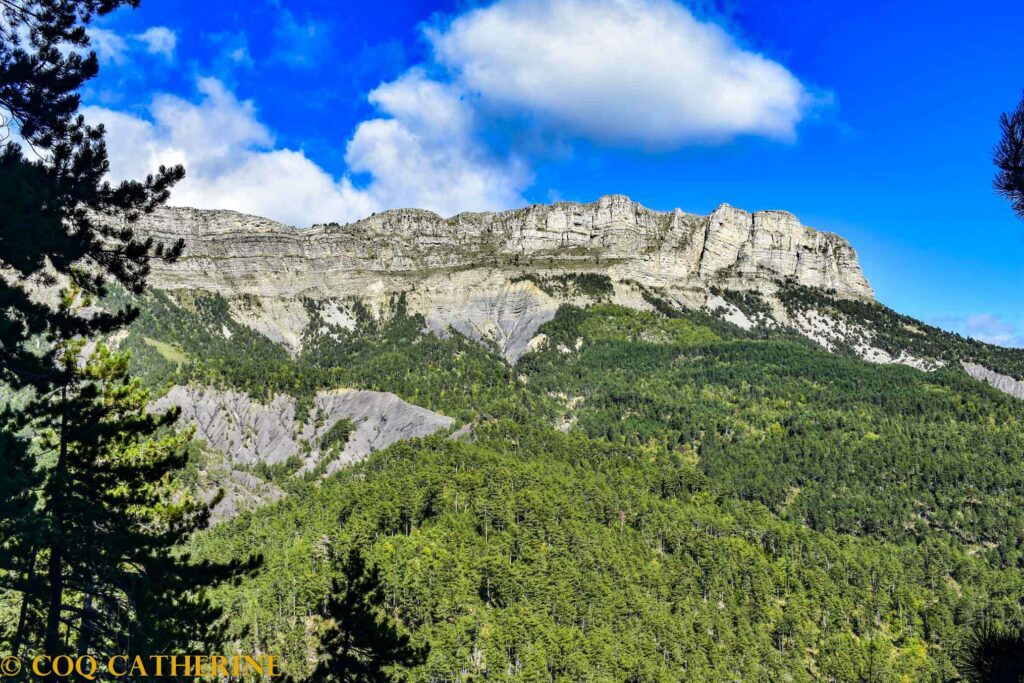 Panorama sur les falaises de la Crête de Géruen avec la forêt