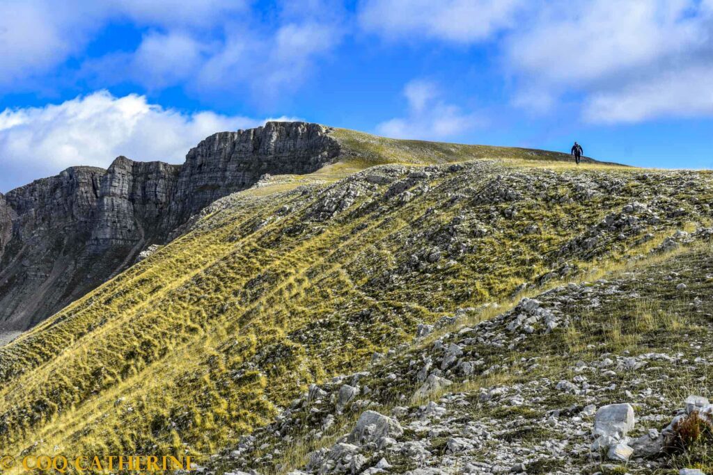 Un homme marche sur la sente de la rando des Monges au milieu des alpages