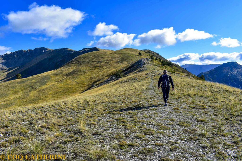 Un homme marche sur la sente de la rando des Monges au milieu des alpages