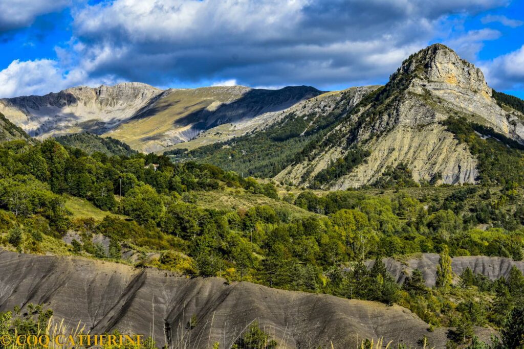 Panorama sur le massif des Monges avec les robines noires et la forêt