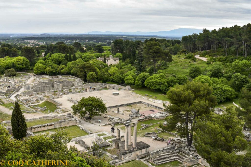 Vue du haut des ruines de Glanum avec des colonnes au milieu de la verdure