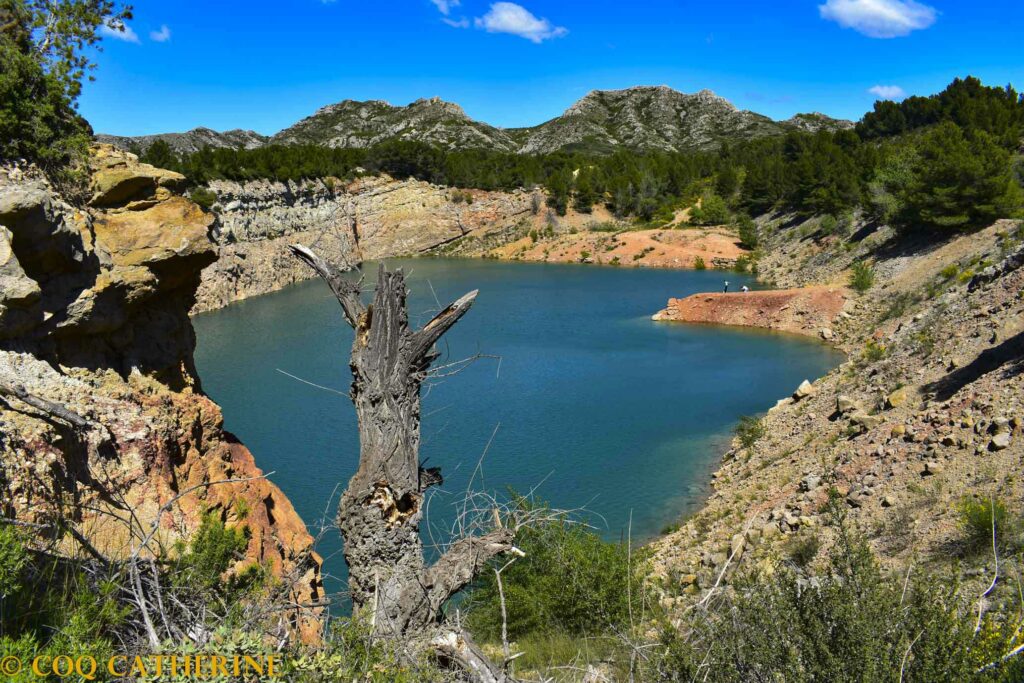 Le lac des carrières de Bauxite avec un arbre mort