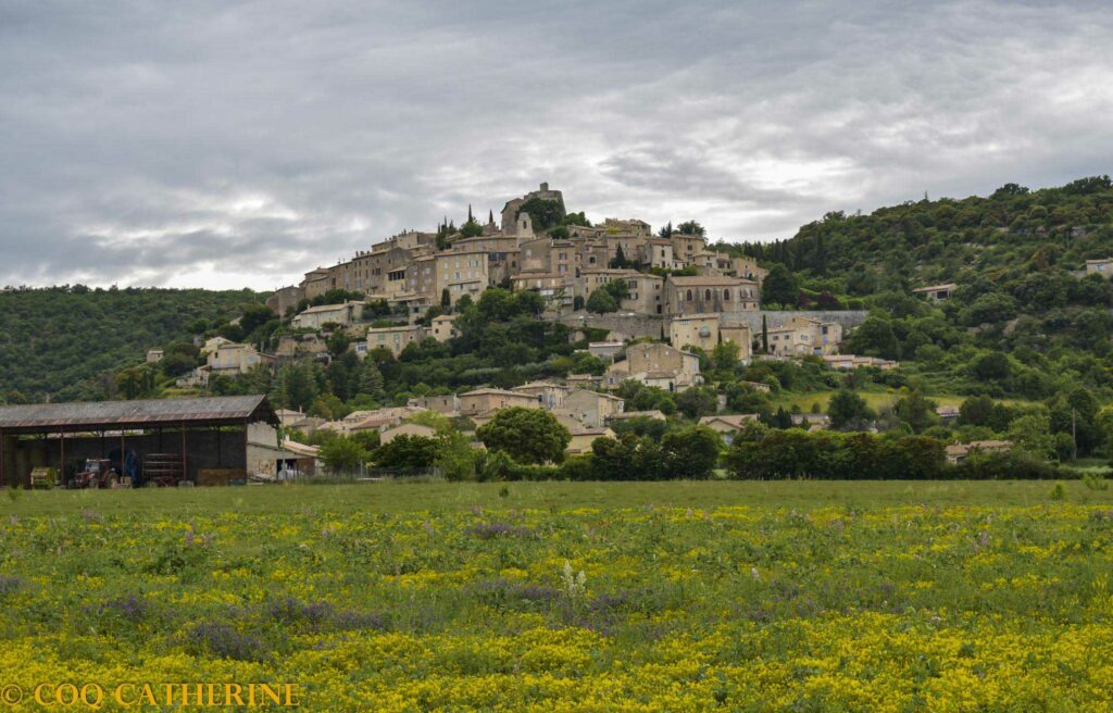 Panorama sur la vallée verdoyante et le village de Simiane la Rotonde