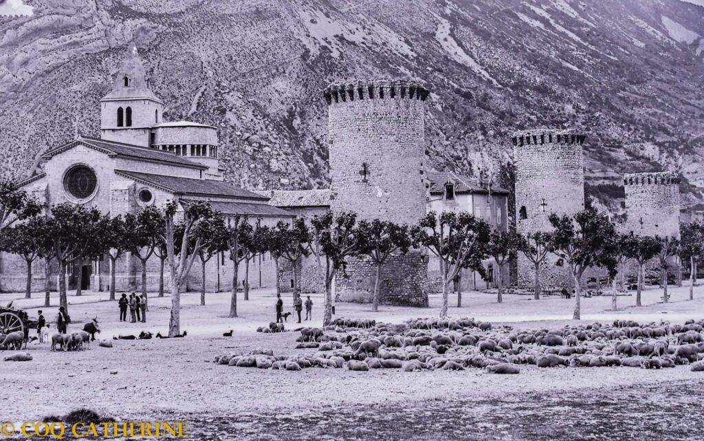 Vieille photo avec la cathédrale de Notre-Dame des pommiers de Sisteron, les tours et des moutons