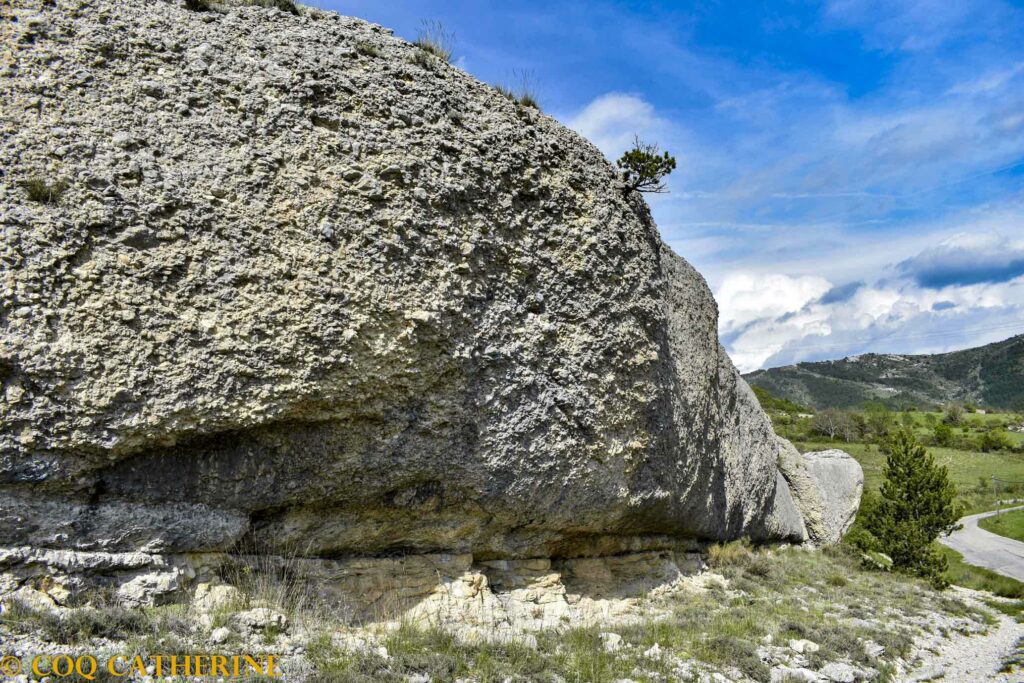 Le rocher dit de la Baleine dans le Défilé de la Pierre Ecrite