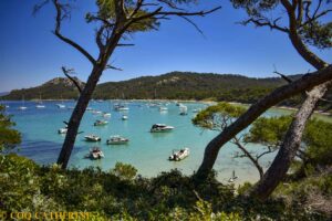 Panorama sur la plage Notre Dame sur l’ile de Porquerolles avec des pins et des bateaux sur l’eau turquoise