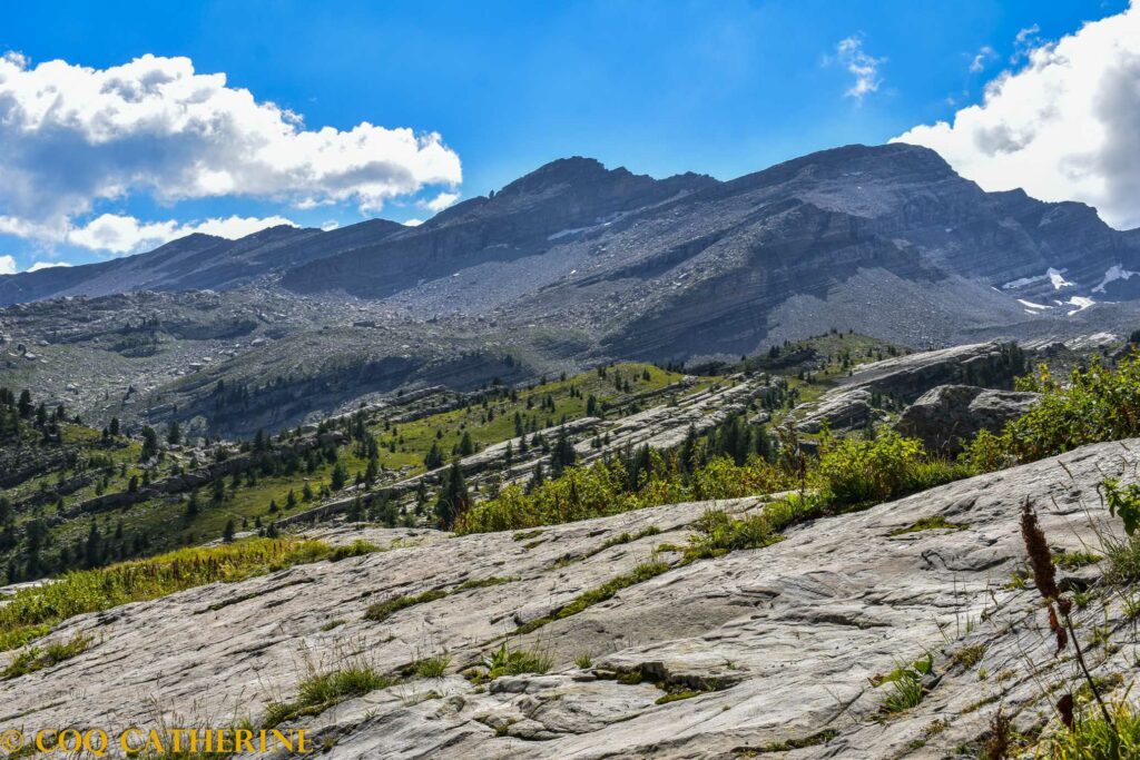 Le sommet de l’Estrop et les dalles de rocher de l’ancien glacier de la vallée du Laverq