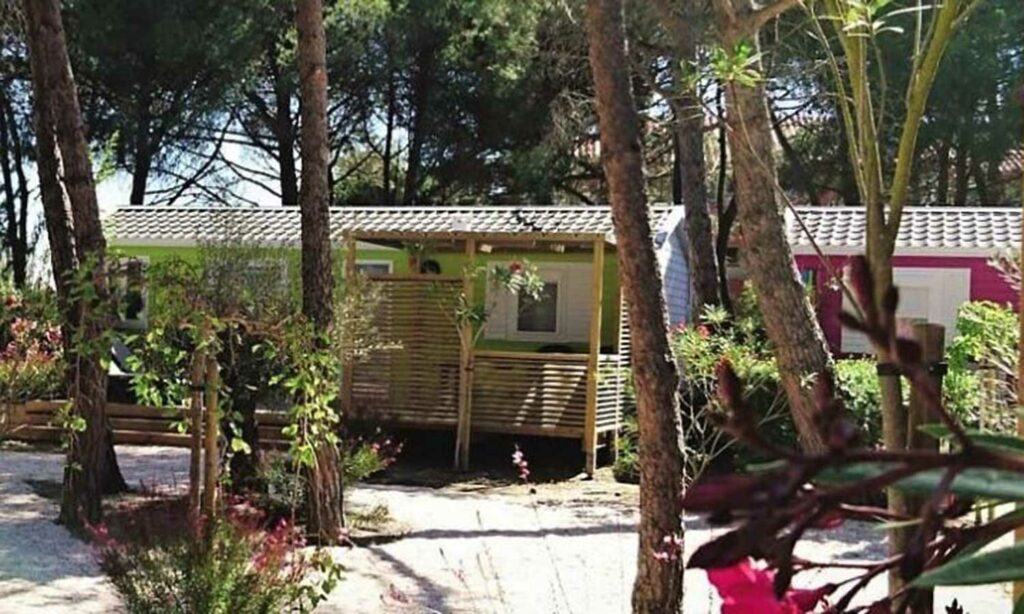 Les bungalows en bois sous les pins du camping de la presqu’ile de Barcarès