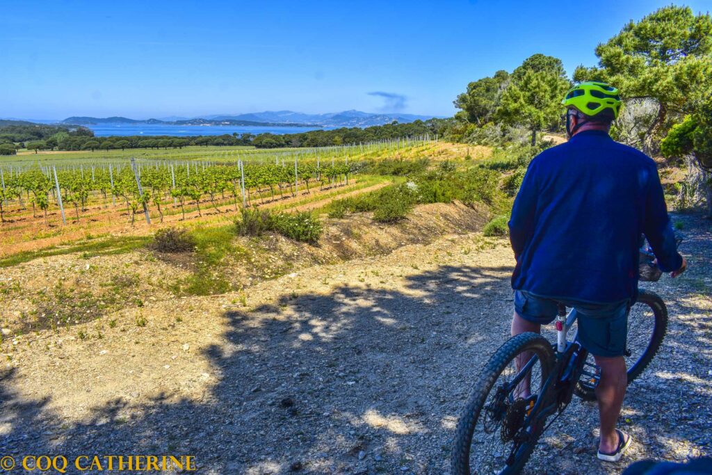 Un homme sur un vélo sur un chemin de Porquerolles avec les vignobles et plus bas, la mer
