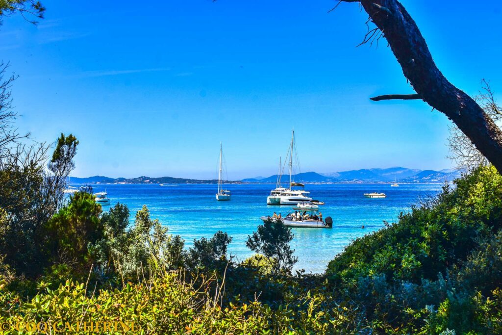 Panorama sur la plage Notre Dame sur l’ile de Porquerolles avec des pins et des bateaux sur l’eau turquoise