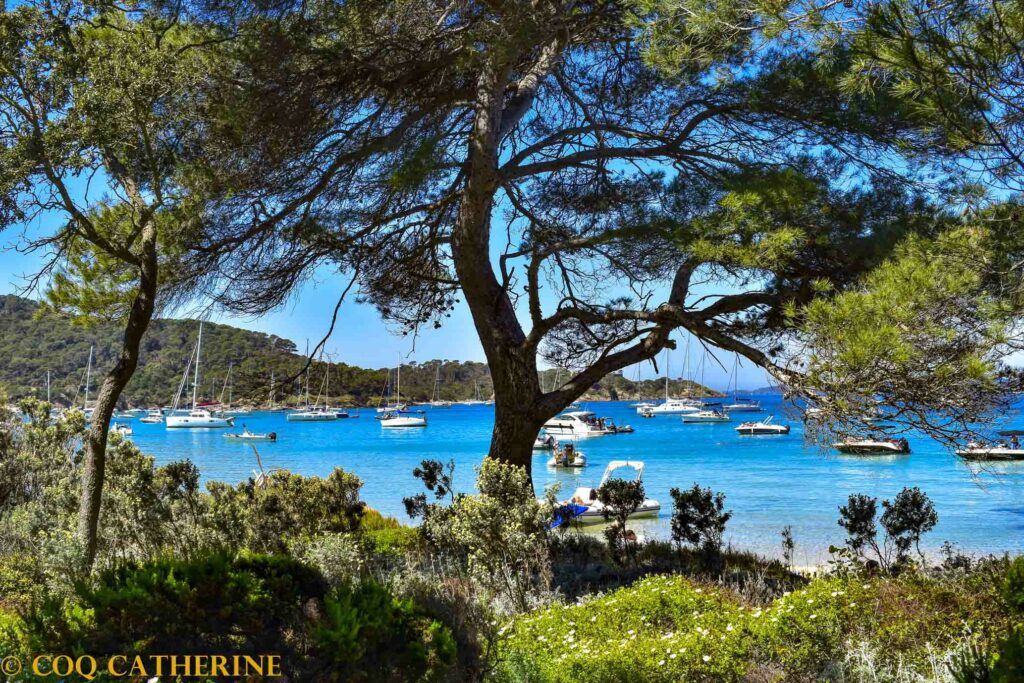 Panorama sur la plage Notre Dame sur l’ile de Porquerolles avec des pins et des bateaux sur l’eau turquoise