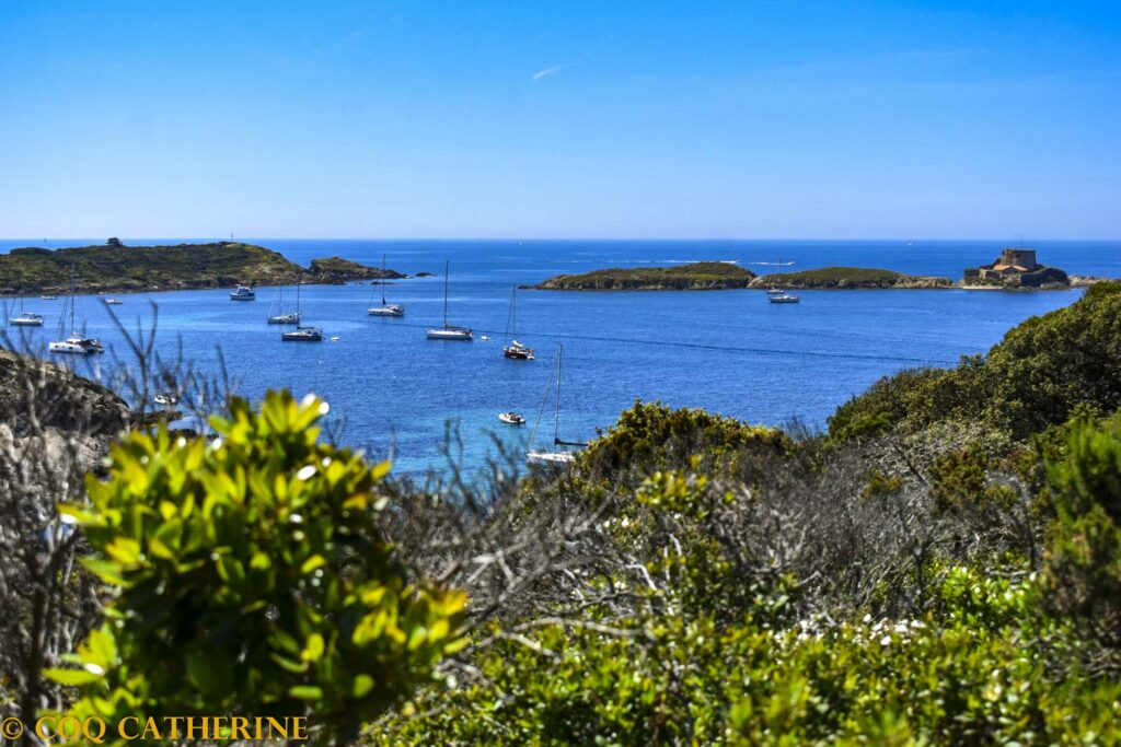 panorama sur une baie sur l’ile de Porquerolles avec des bateaux sur l’eau turquoise