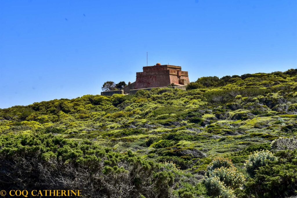 Le fort dominant la presqu’ile du Langoustier sur Porquerolles