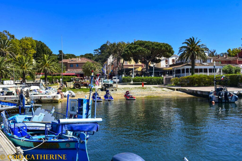 le port de Porquerolles avec des bateaux, le village et les palmier