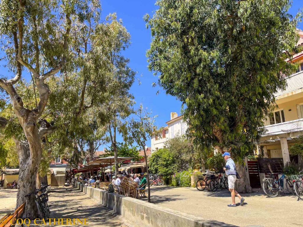 les terrasses des restaurants de la place centrale de Porquerolles avec les arbres